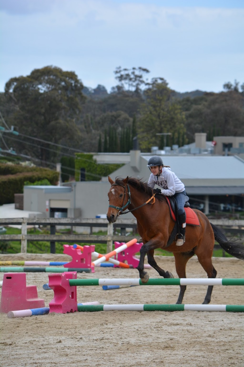 Tandivale Equestrian Centre & Pony Club | 88 Johansons Rd, Warrandyte VIC 3113, Australia | Phone: 0488 244 420