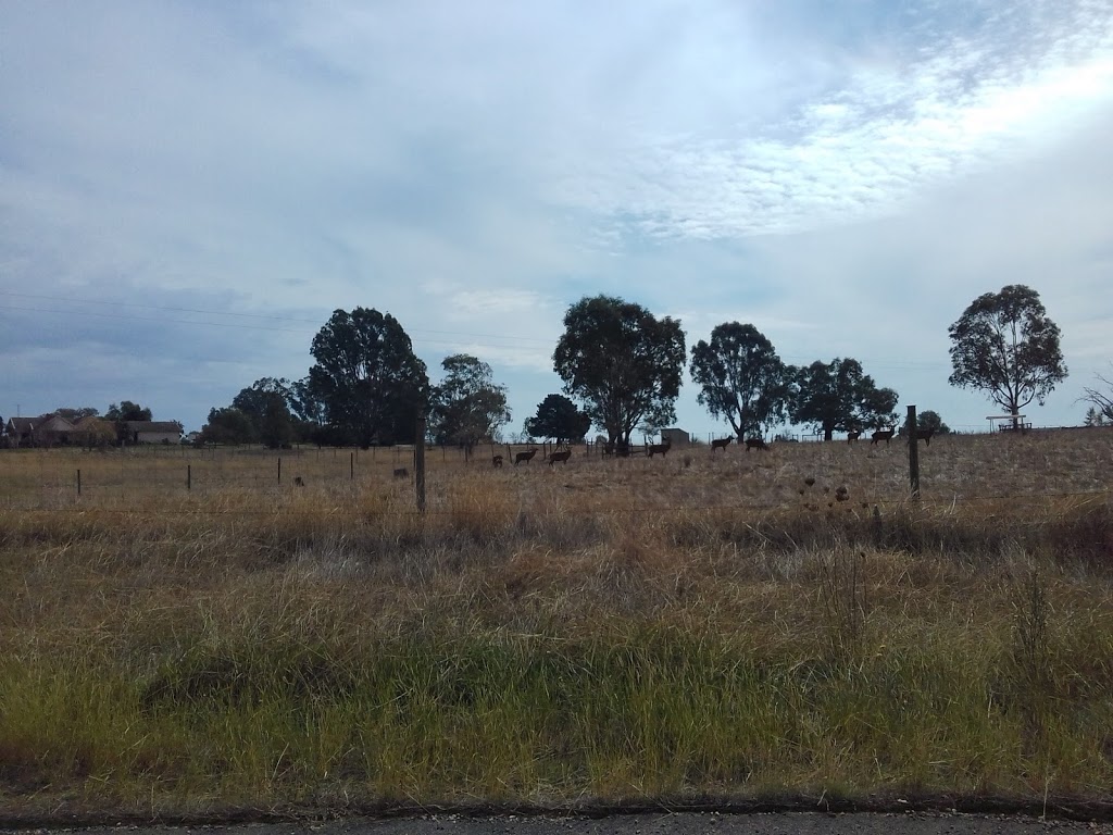Kangaroo point | park | Unnamed Road, Bonegilla VIC 3691, Australia