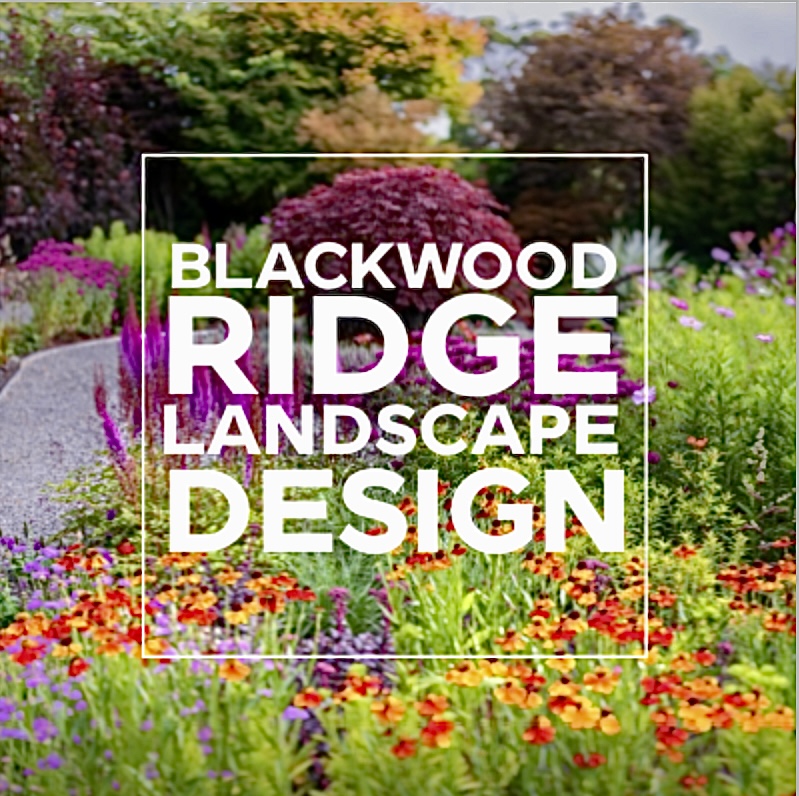 Blackwood Ridge Landscape Design | 812 Greenhills Rd, Blackwood VIC 3458, Australia | Phone: 0418 381 617