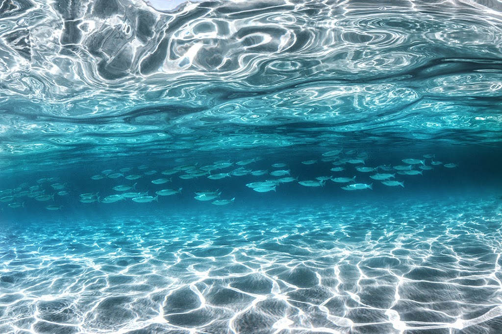 Jordan Robins Photography | Ocean Artist | The Collective Beat, 51 Owen St, Huskisson NSW 2540, Australia | Phone: 0400 755 120