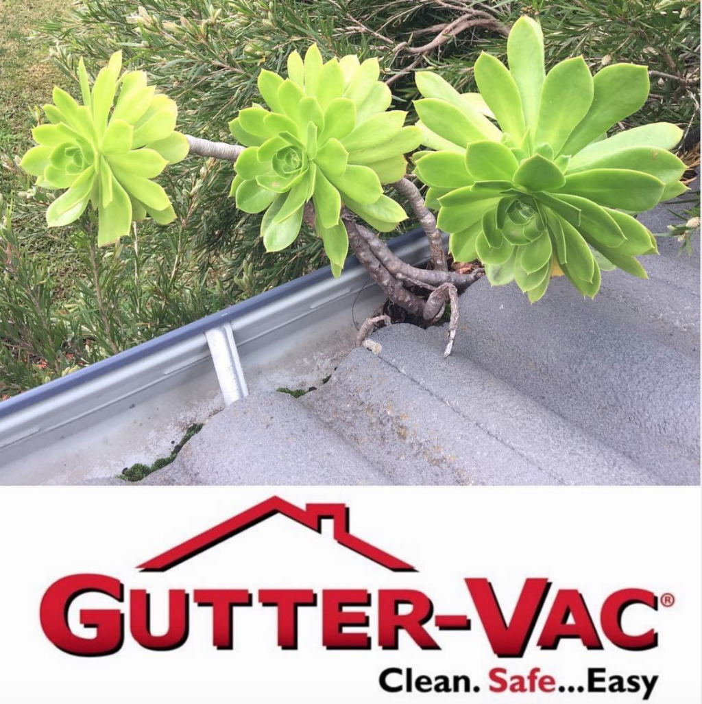 Gutter-Vac Boroondara | 67 Sylvander St, Balwyn North VIC 3104, Australia | Phone: 0421 917 510
