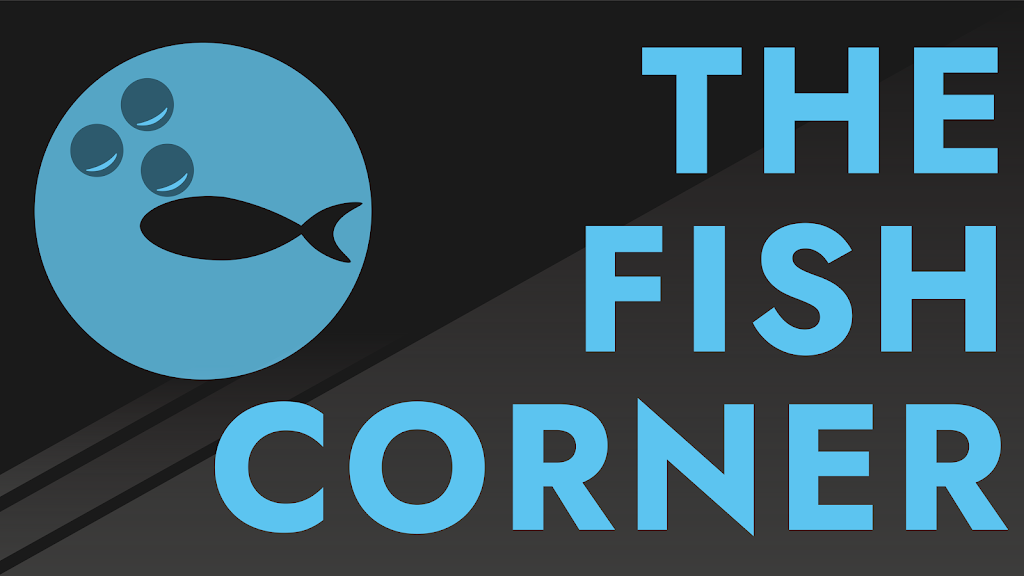 The Fish Corner | Shopping centre, 15/455 Hume St, Middle Ridge QLD 4350, Australia | Phone: (07) 4549 3889