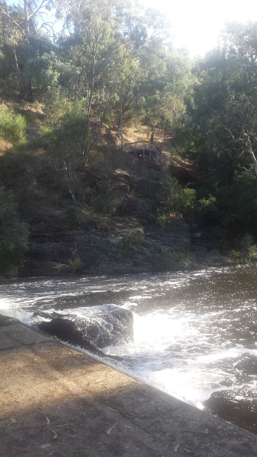 Golden Gullies Walk | tourist attraction | Vaughan VIC 3451, Australia | 131963 OR +61 131963