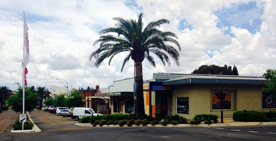 Harden Pharmacy | pharmacy | 66 Neill St, Harden NSW 2587, Australia | 0263862643 OR +61 2 6386 2643