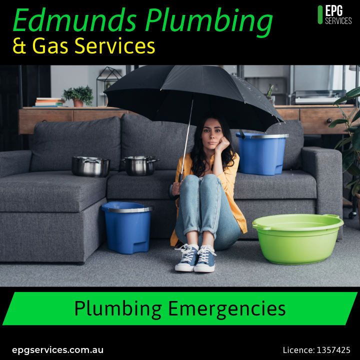 Edmunds Plumbing & Gas Services | 4 Porpoise Cl, Oakdowns TAS 7019, Australia | Phone: 0474 374 081