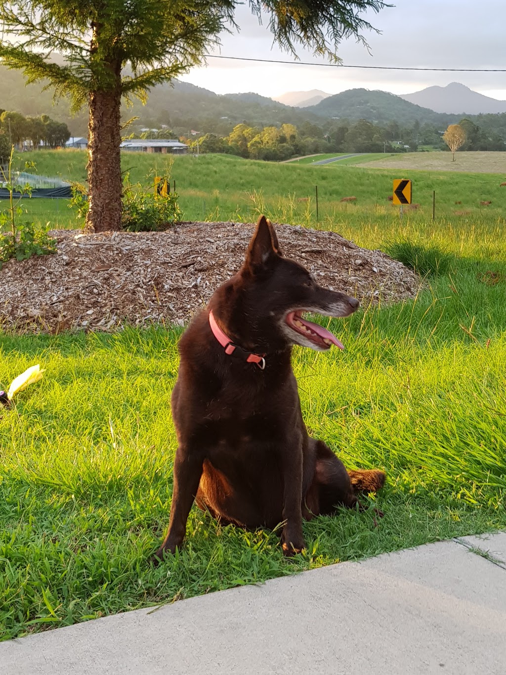 Samford Avenue of Honour | park | 5 Burton Ln, Samford Valley QLD 4520, Australia | 0732896928 OR +61 7 3289 6928