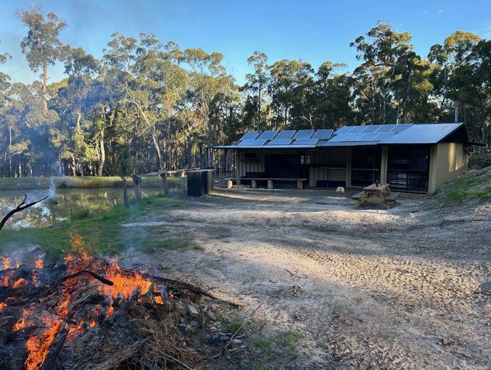 Companion Caring | 235/239 Riggalls Rd, Glengarry VIC 3854, Australia | Phone: 0459 488 413