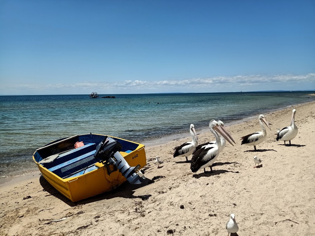 Beachlea Boat Hire | Batman Park, 8 The Esplanade, Indented Head VIC 3223, Australia | Phone: 0403 890 565