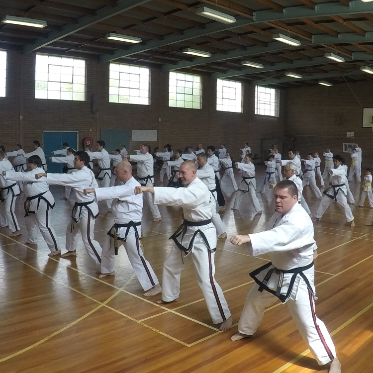 Rhee Tae Kwon-Do - Wanniassa Dojang | 184 Wheeler Cres, Wanniassa ACT 2903, Australia | Phone: 0416 929 497