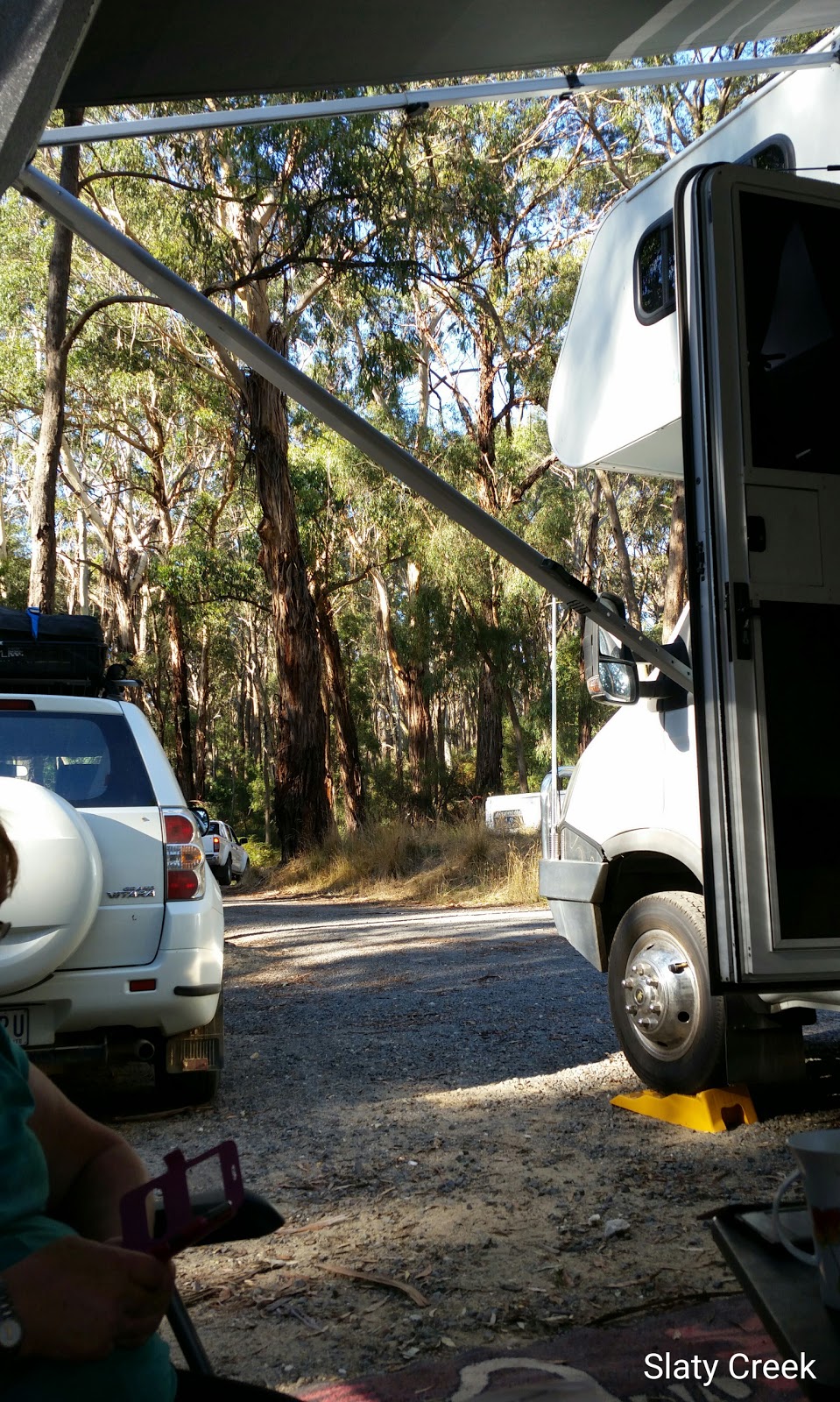Slaty Creek Campground 1 | campground | Petticoat Link Track, Cabbage Tree VIC 3889, Australia