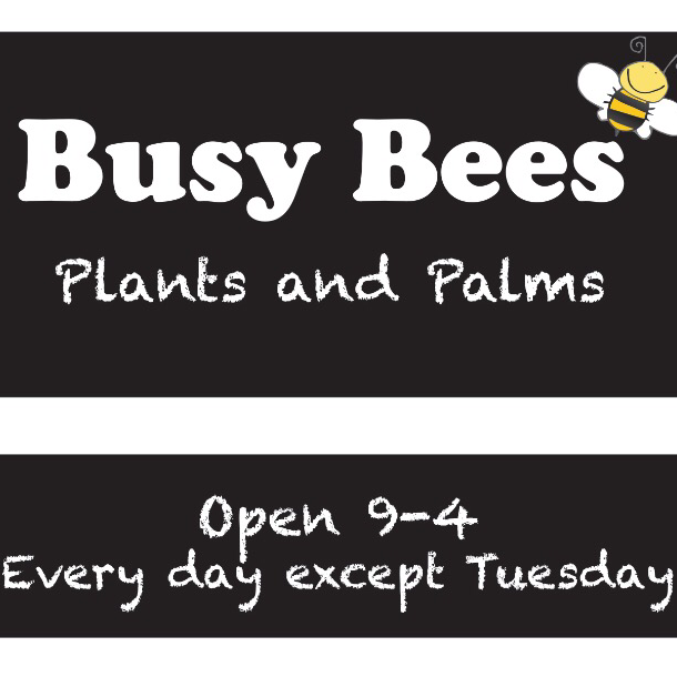 Busy Bees Plants and Palms | general contractor | 848 Conway Rd, Palm Grove QLD 4800, Australia | 0749473520 OR +61 7 4947 3520