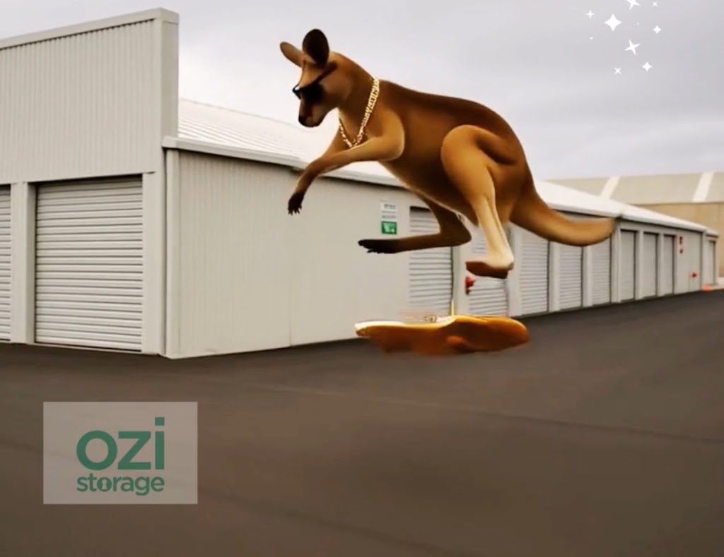 OZI Storage | 6 Brinkley Rd, Murray Bridge SA 5253, Australia | Phone: 0439 416 188