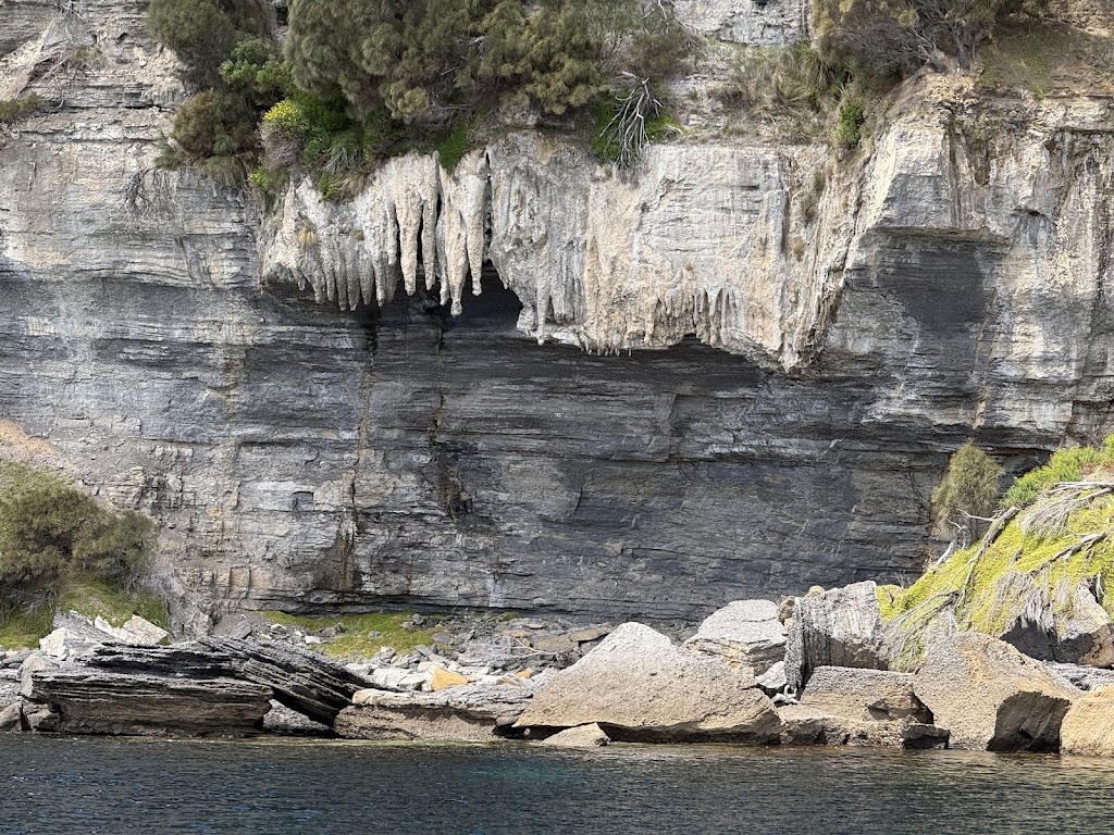 MARIA ISLAND CRUISES | 21 Vicary St, Triabunna TAS 7190, Australia | Phone: (03) 6257 1300