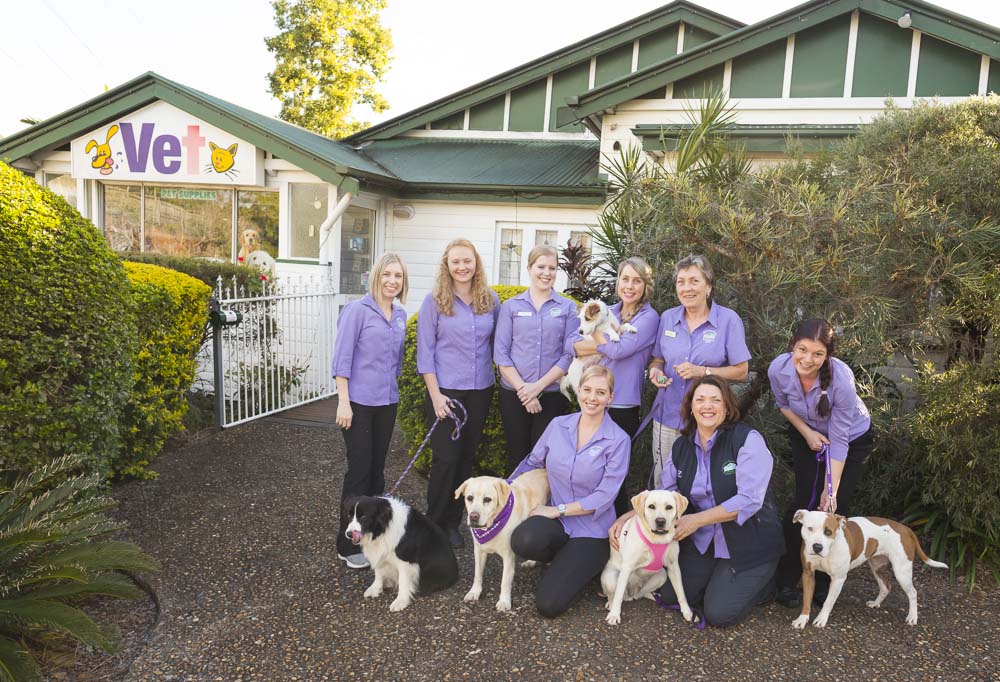 Indooroopilly Veterinary Clinic | veterinary care | Moggill Rd, Indooroopilly QLD 4068, Australia | 0738789766 OR +61 7 3878 9766