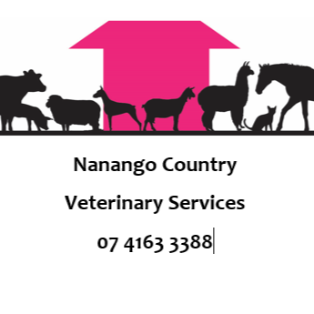 Nanango Country Veterinary Services - Dr. Kathy Webb | veterinary care | 7 Fitzroy St, Nanango QLD 4615, Australia | 0741633388 OR +61 7 4163 3388
