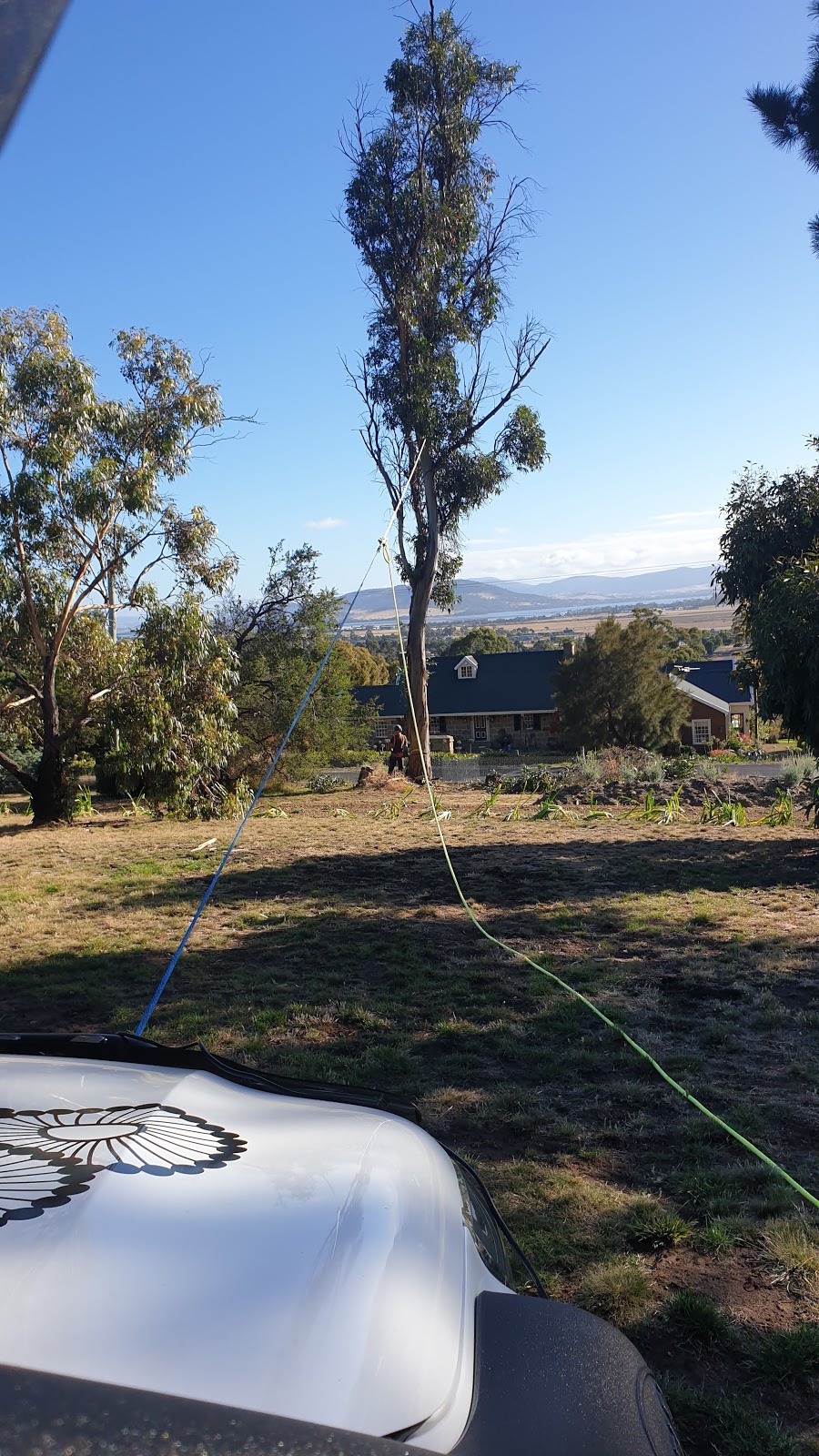 Arbor Co Tasmania | 51 Opus Dr, Acton Park TAS 7170, Australia | Phone: 0413 321 333