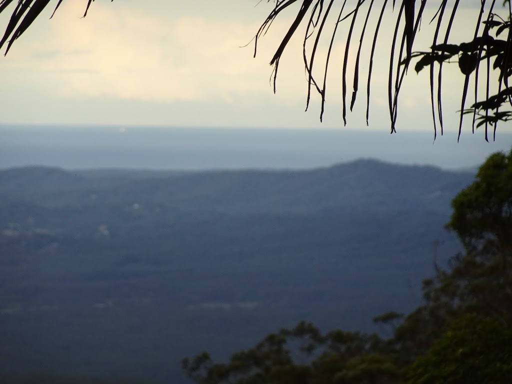 Hardwood Lookout | Wonga Walk, Dorrigo Mountain NSW 2453, Australia