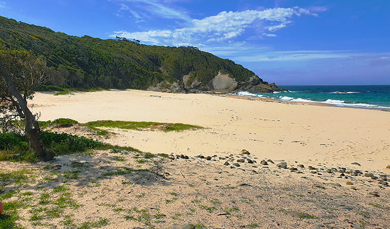McBrides Beach | tourist attraction | Cape Hawke Dr, Forster NSW 2428, Australia | 0265910300 OR +61 2 6591 0300