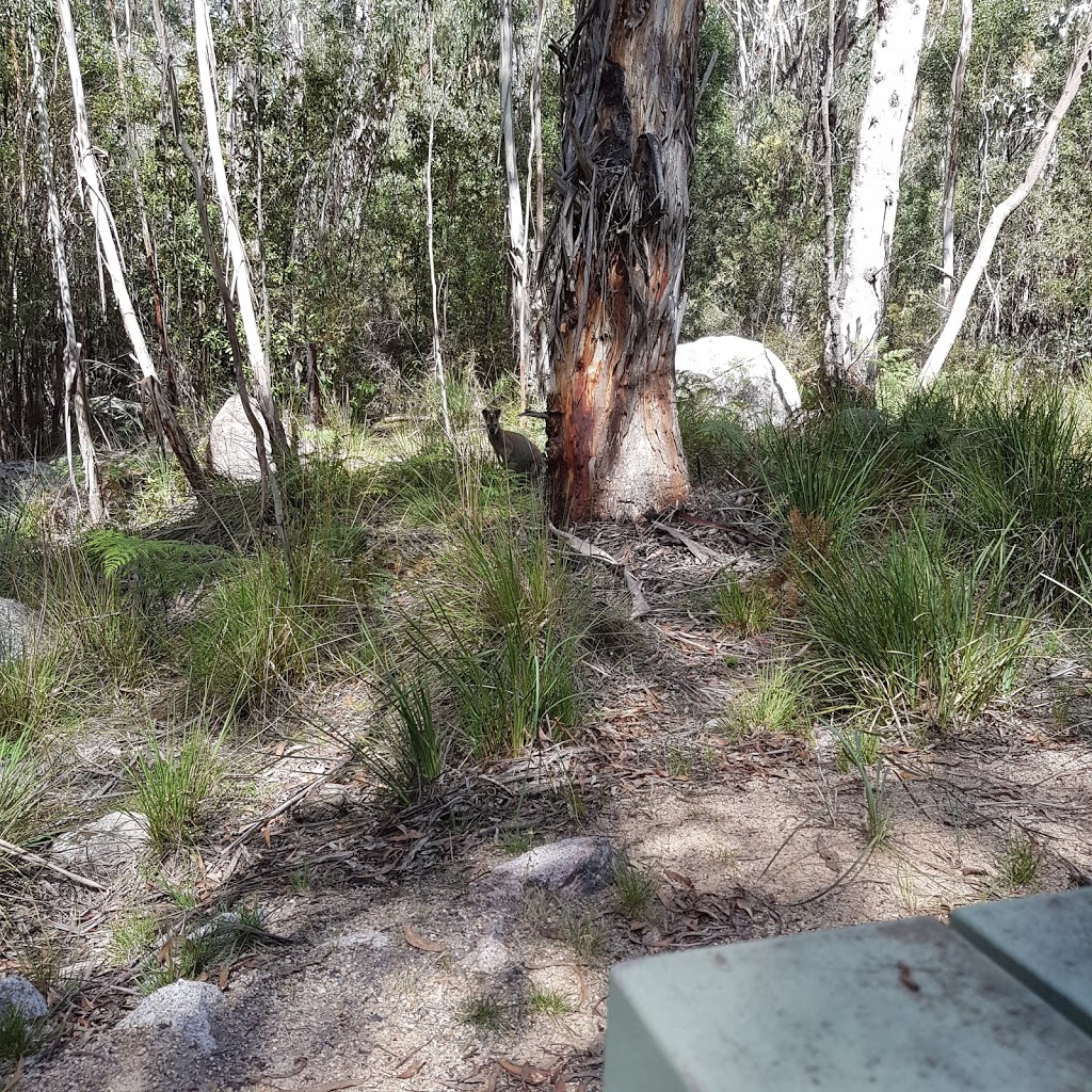 Tidbinbilla Koala Path | park | Tidbinbilla Reserve Rd, Paddys River ACT 2620, Australia