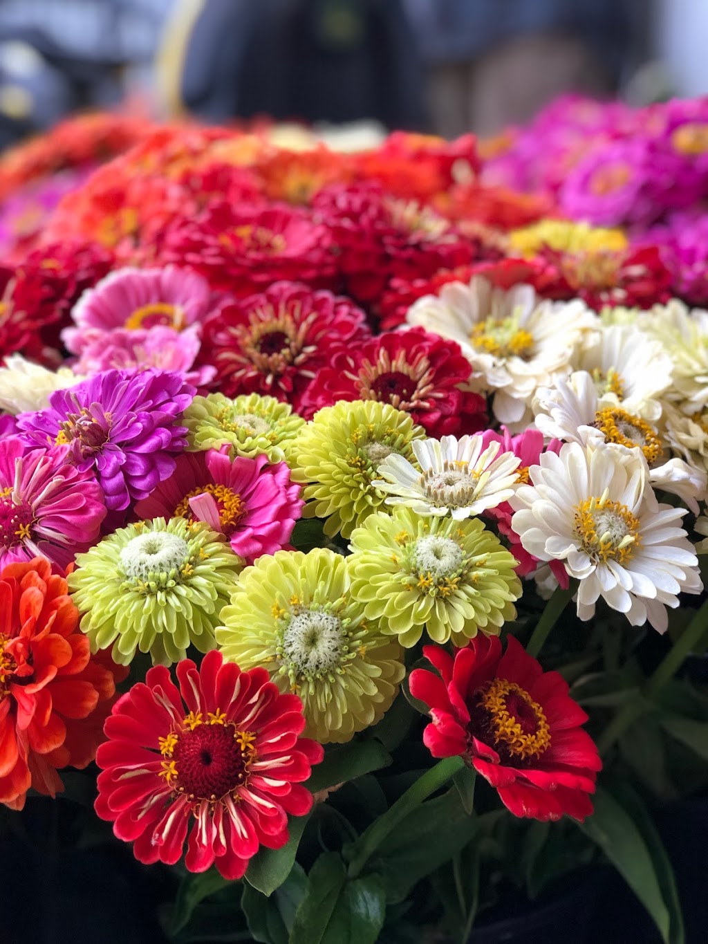 A & M Flowers | florist | 1163 Highland Way, Tallong NSW 2579, Australia | 0248410982 OR +61 2 4841 0982