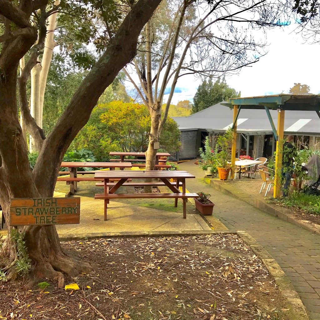 The Berry Farm | 43 Bessell Rd, Rosa Glen WA 6285, Australia | Phone: (08) 9757 5054