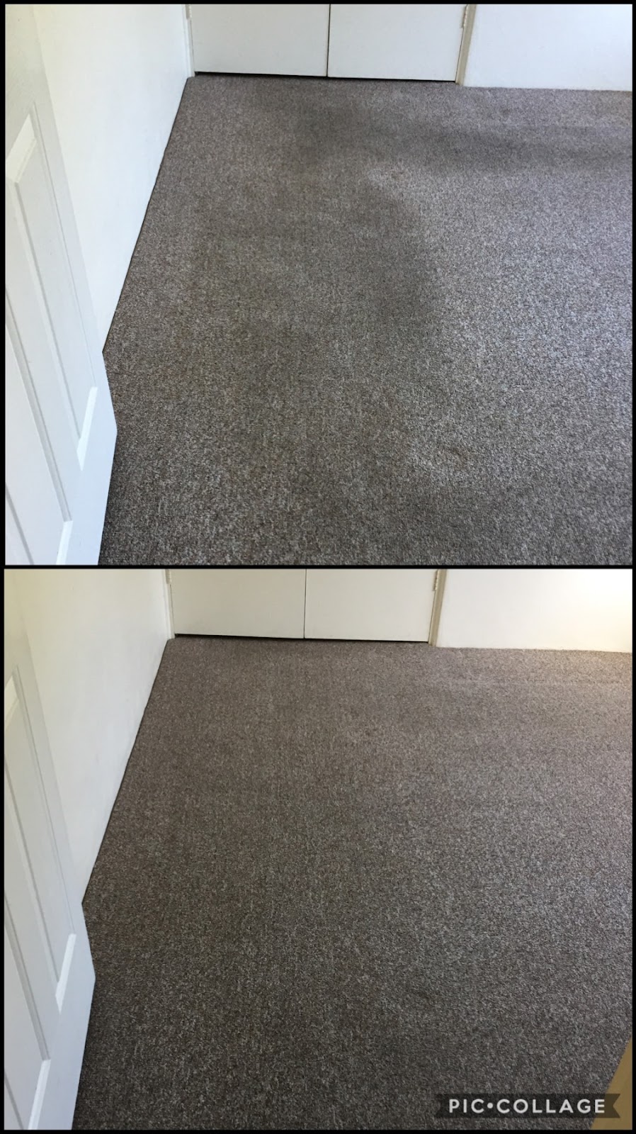 Chemdry Solutions | Forest Way, Frenchs Forest NSW 2086, Australia | Phone: 0490 009 551