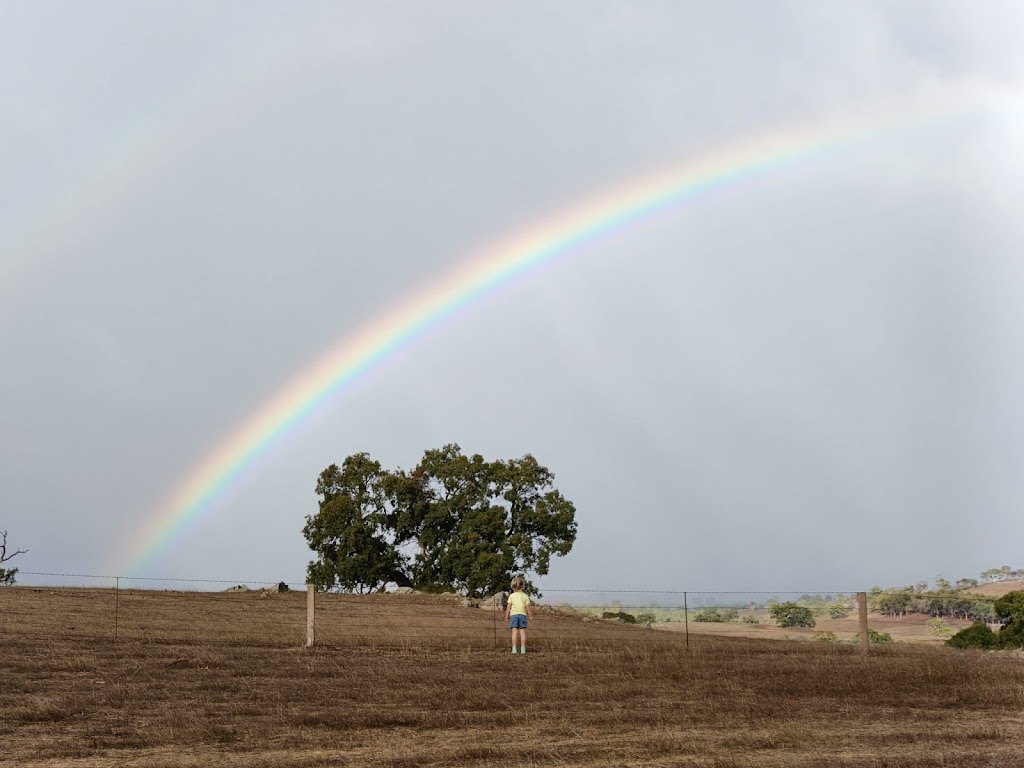 Ridgestone Retreat | Brinkworth Rd, Tungkillo SA 5236, Australia | Phone: 0437 654 453