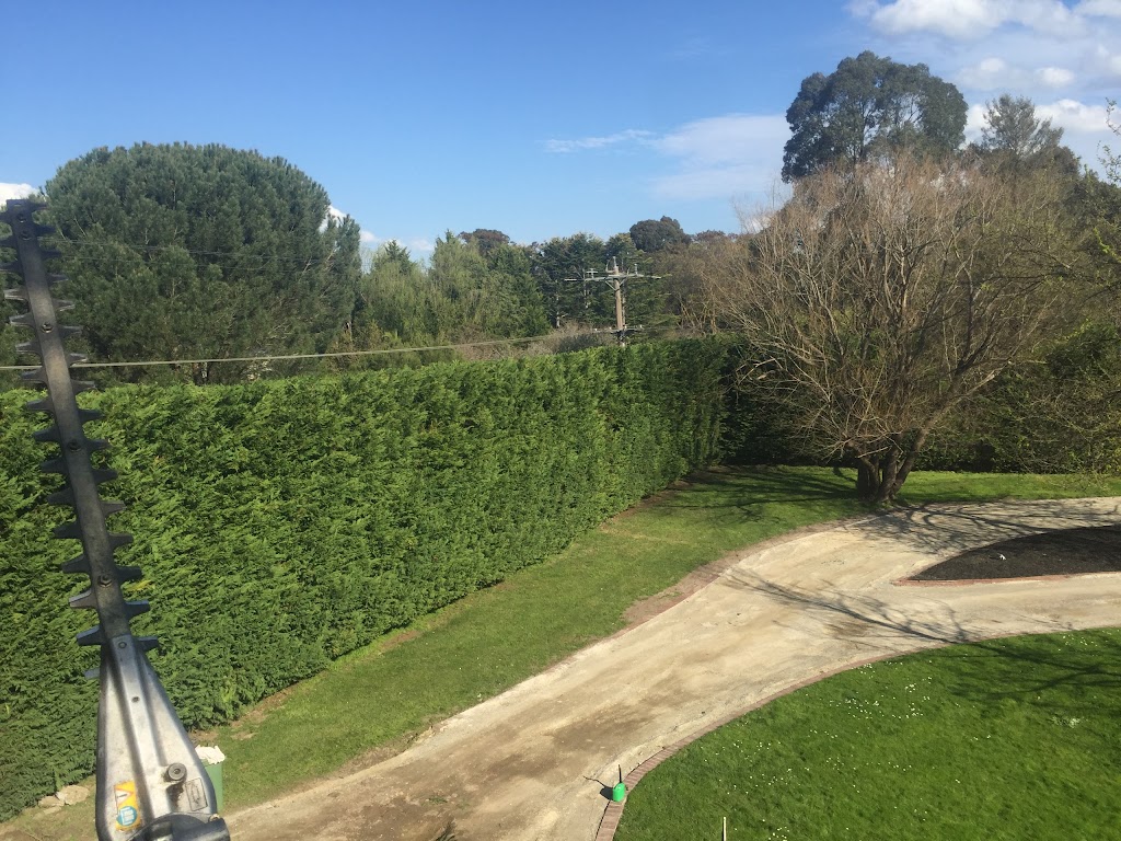 Grandview Tree Care | general contractor | 2b Pinehill Dr, Pakenham VIC 3810, Australia | 1800560875 OR +61 1800 560 875