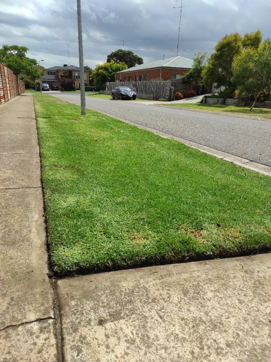 Eco Greens Mowing Service | 126 Orton St, Ocean Grove VIC 3226, Australia | Phone: 0431 188 371