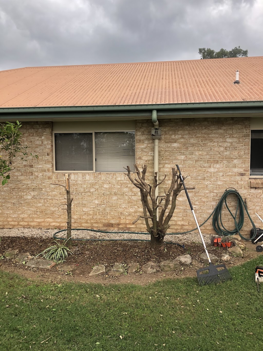 The grass king | general contractor | 7 Dwyer St, Gatton QLD 4343, Australia | 0438689663 OR +61 438 689 663