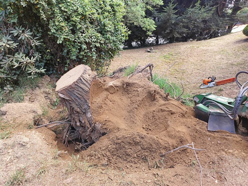 The Stump Grinder Man | Beaconsfield-Emerald Rd, Emerald VIC 3782, Australia | Phone: 0409 331 122
