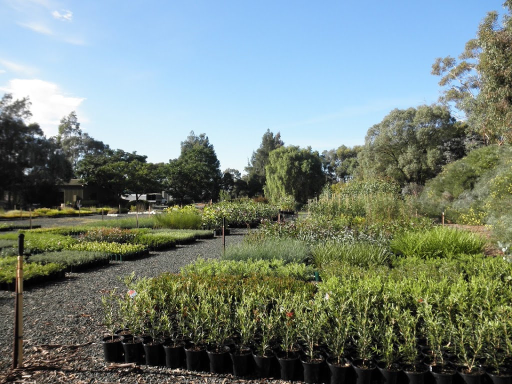 Rochester Nursery | 6708 Northern Hwy, Rochester VIC 3561, Australia | Phone: (03) 5484 3777