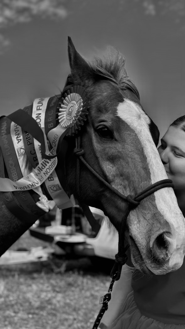 Kelly Zorn | Hayes Ln, Horsley NSW 2530, Australia | Phone: 0452 337 322