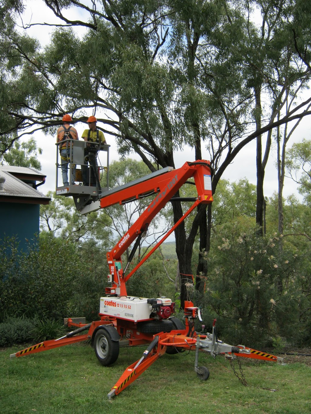 Candoo Tree Solutions | 48 Dawson Hwy, Calliope QLD 4680, Australia | Phone: (07) 4975 7970