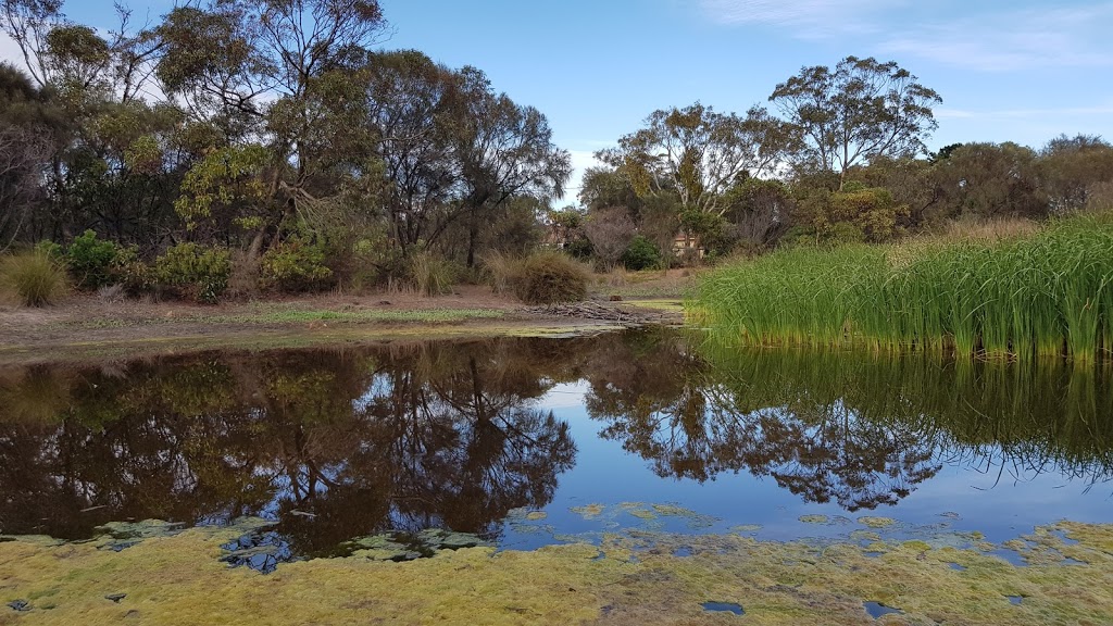 Aldinga Scrub Conservation Park | Aldinga Beach SA 5173, Australia