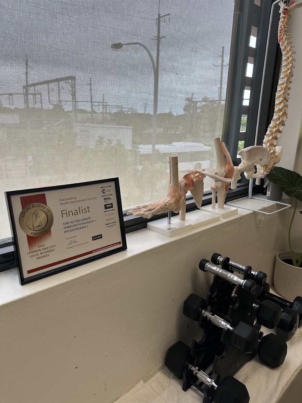 Stay Active Longer (Exercise Physiology + Physiotherapy ) | DOOLEYS Health & Fitness, 11/15 Church St, Lidcombe NSW 2141, Australia | Phone: 0421 944 301