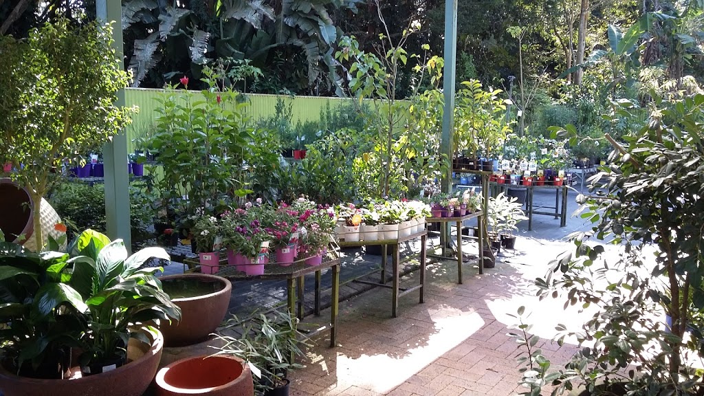 Old Kulara Nursery | 228 Tinaroo Falls Dam Rd, Atherton QLD 4883, Australia | Phone: (07) 4091 1707