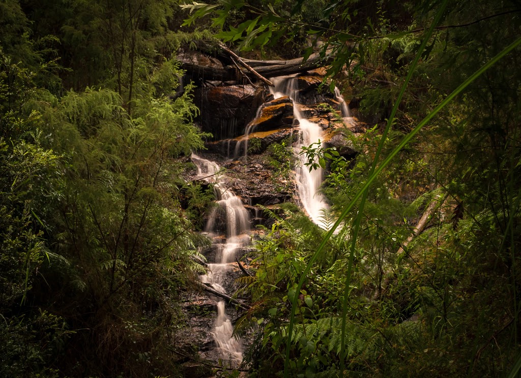 Lawson Falls | tourist attraction | Forest Rd, Gentle Annie VIC 3833, Australia | 131963 OR +61 131963
