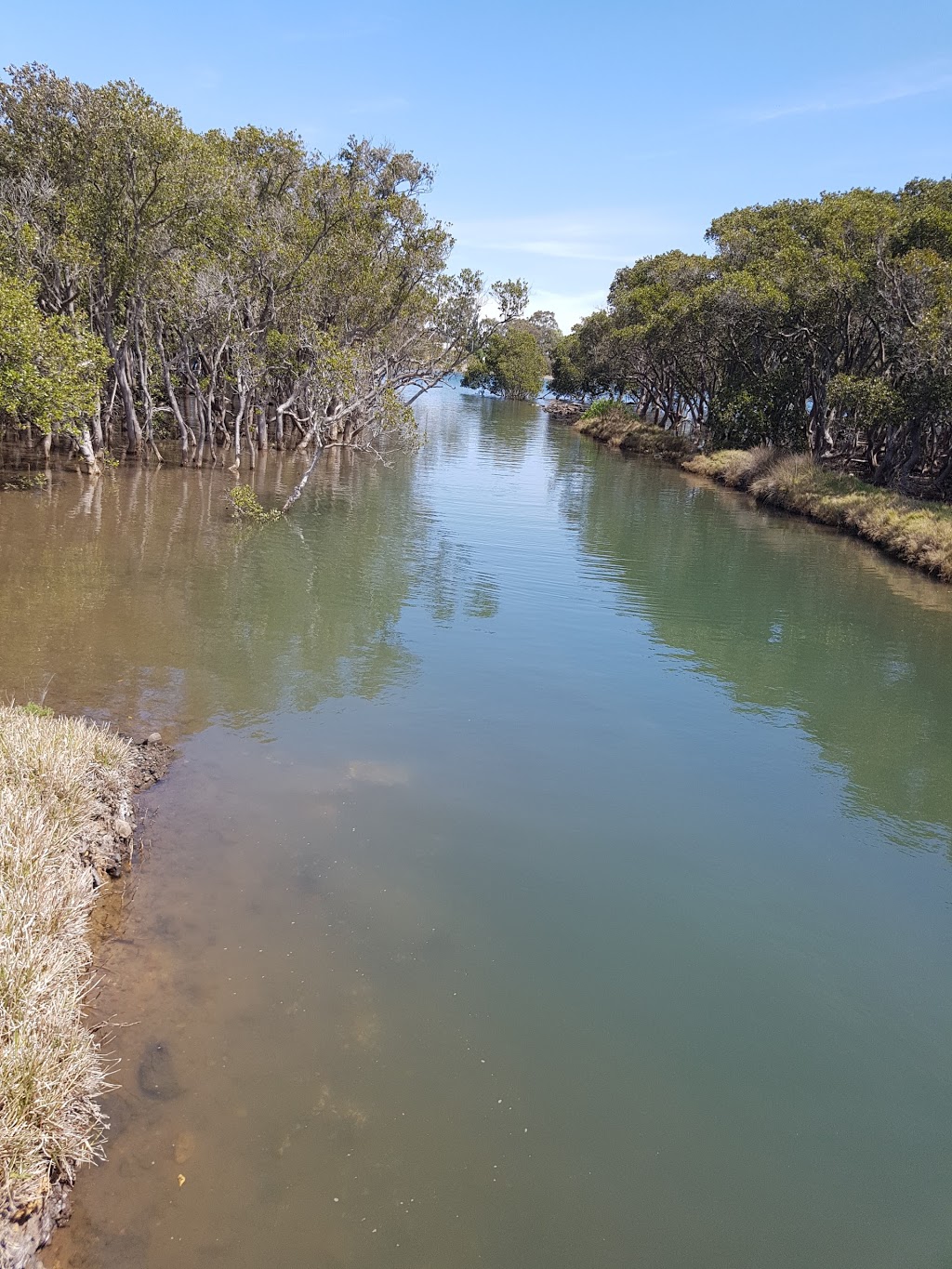 Hunter Wetlands National Park | Tomago NSW 2322, Australia | Phone: (02) 4946 4100