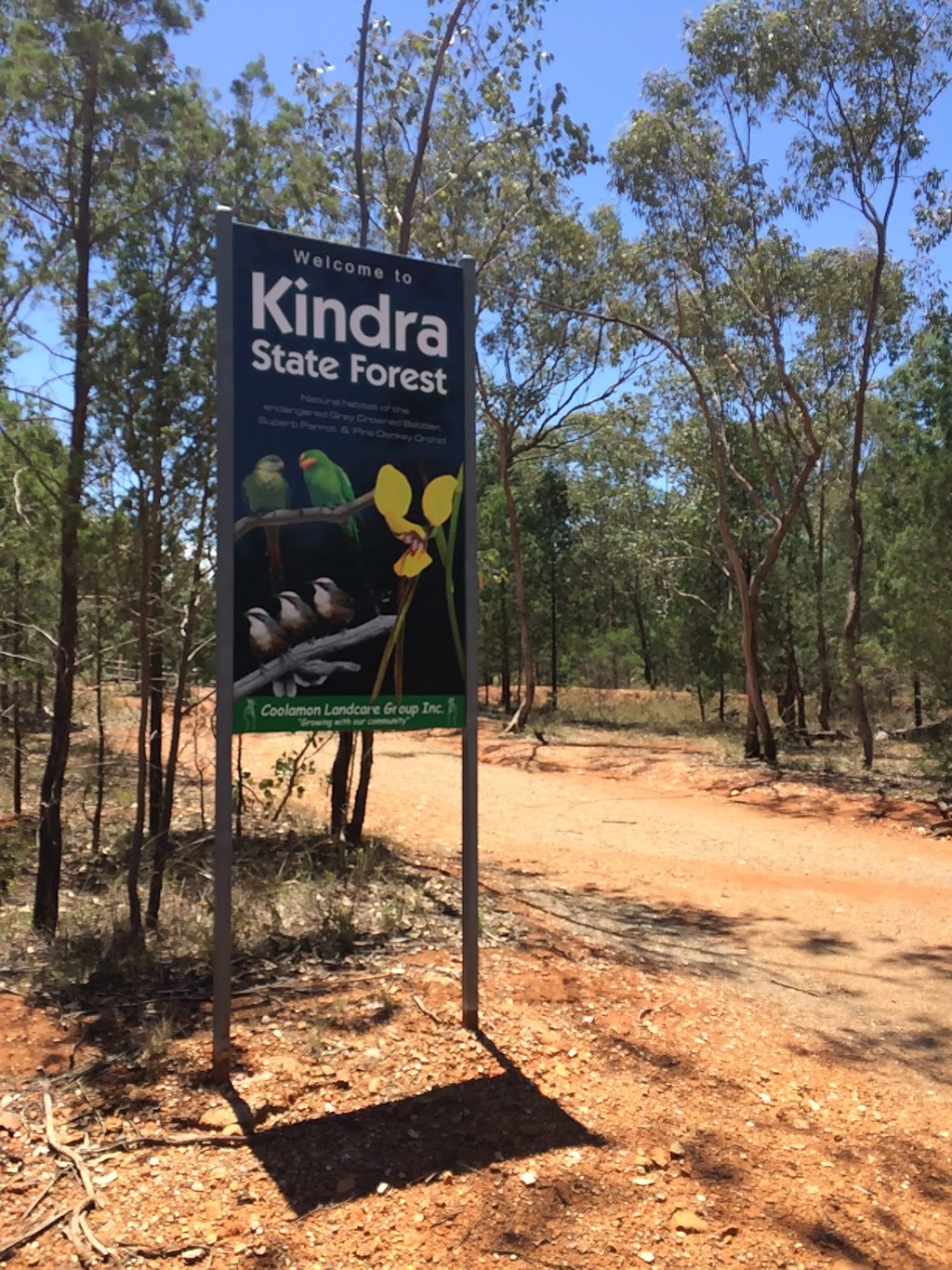 Kindra State Forest | park | Lewis St N, Coolamon NSW 2701, Australia