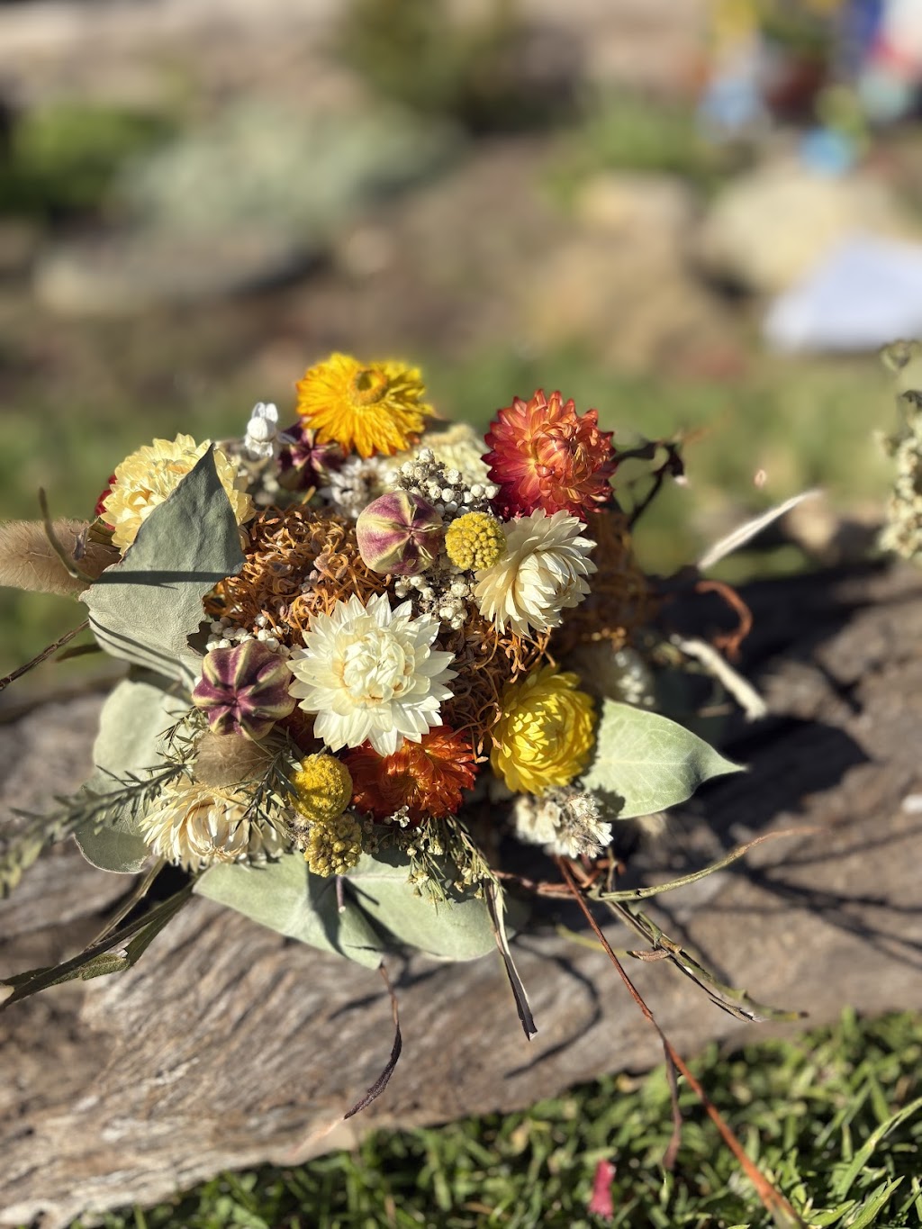 Everlasting Floral Studio | 991 Upper Lurg Rd, Upper Lurg VIC 3673, Australia | Phone: 0437 357 560