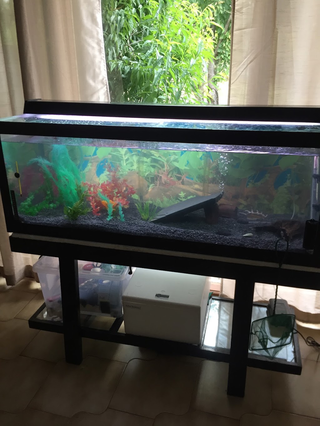 Aquariums At Cranbourne | 14 Cooper Ct, Cranbourne VIC 3977, Australia | Phone: (03) 5995 5066