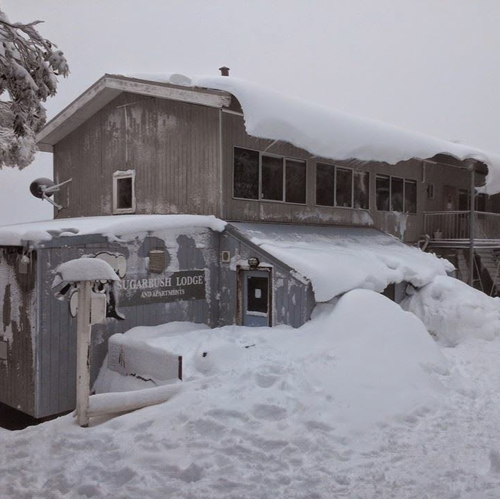 Sugarbush Lodge and Apartments | 10 Delatite Ln, Mount Buller VIC 3723, Australia | Phone: (03) 5777 6500