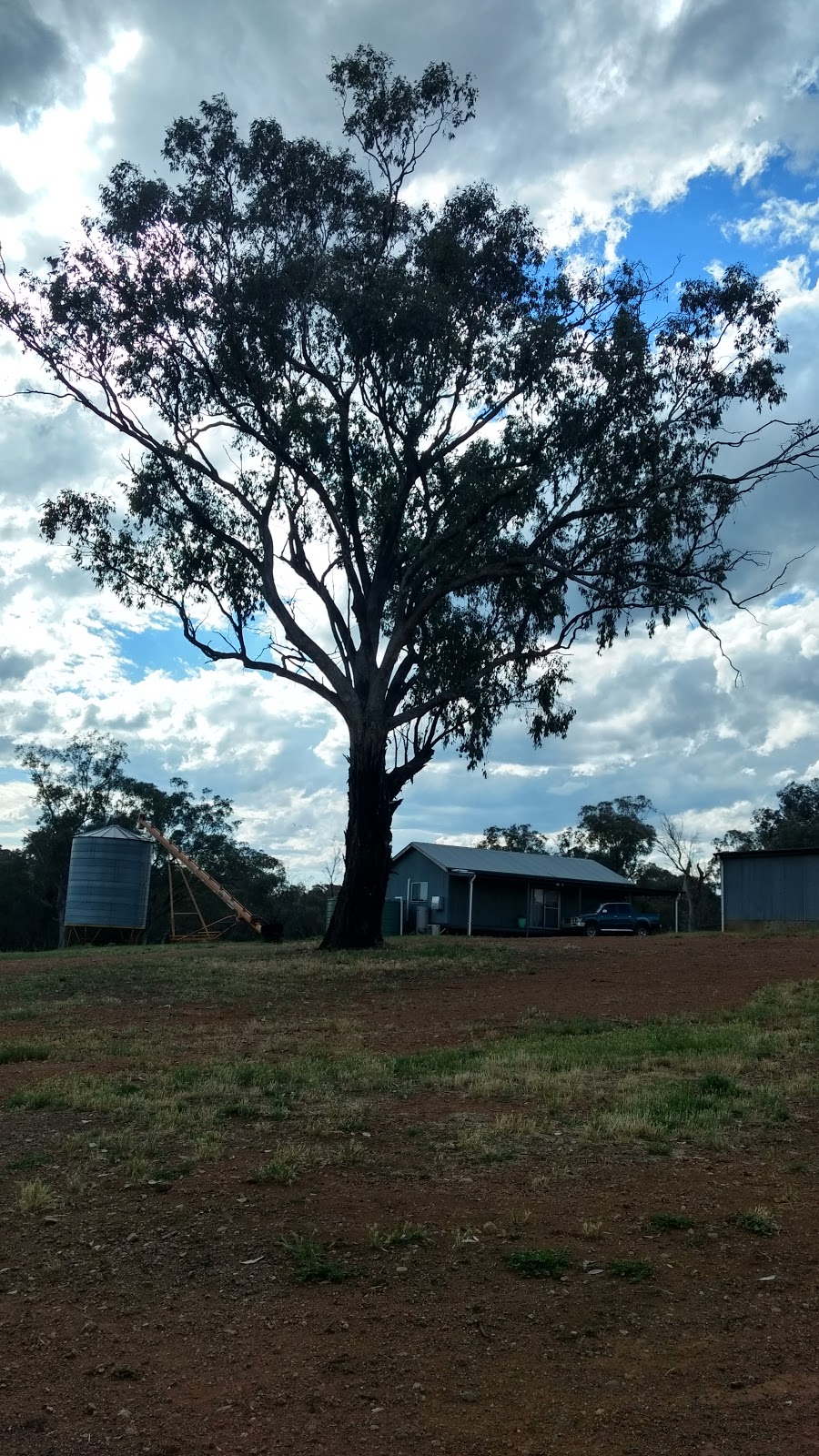 The OId Grain Shed at Nangarna | "Nangarna", 4435 The Escort Way, Cudal NSW 2864, Australia | Phone: 0435 413 500