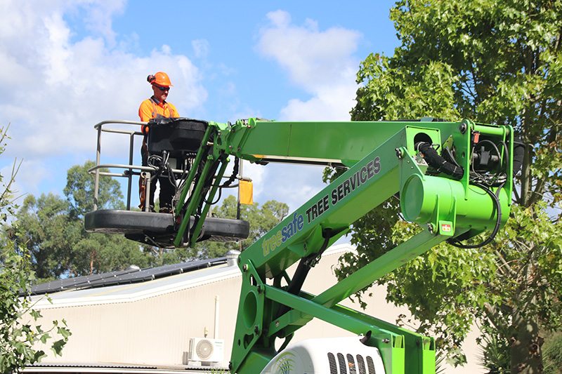 Treesafe Environmental Services | 84 Veivers Rd, Wolffdene QLD 4207, Australia | Phone: 1300 554 048