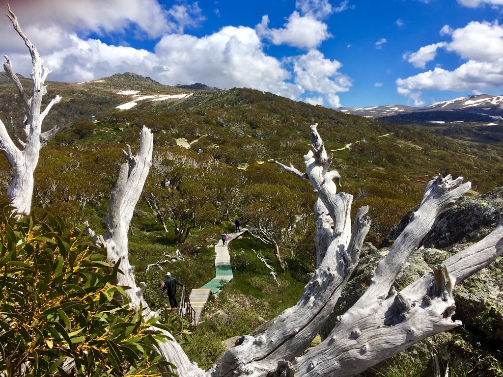 Mount Kosciuszko Summit walk | tourist attraction | Kosciuszko Rd, Kosciuszko National Park NSW 2627, Australia | 0264505600 OR +61 2 6450 5600