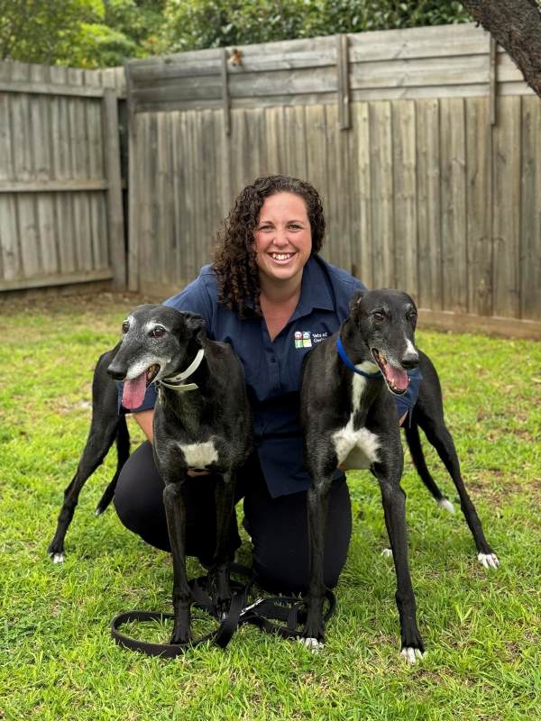 Vets of Geelong - Lara | 75 Forest Rd S, Lara VIC 3212, Australia | Phone: (03) 5243 0077