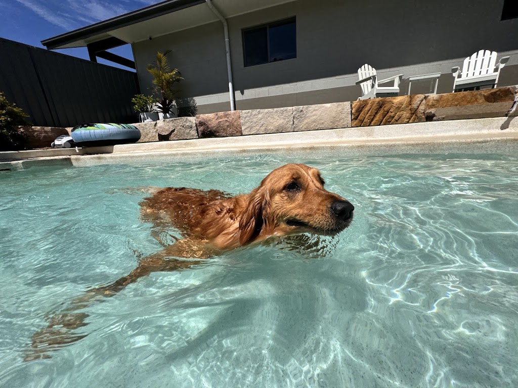 Rocky Ridge Pet Resort | 3 Jones Rd, Calga NSW 2250, Australia | Phone: 0435 764 422