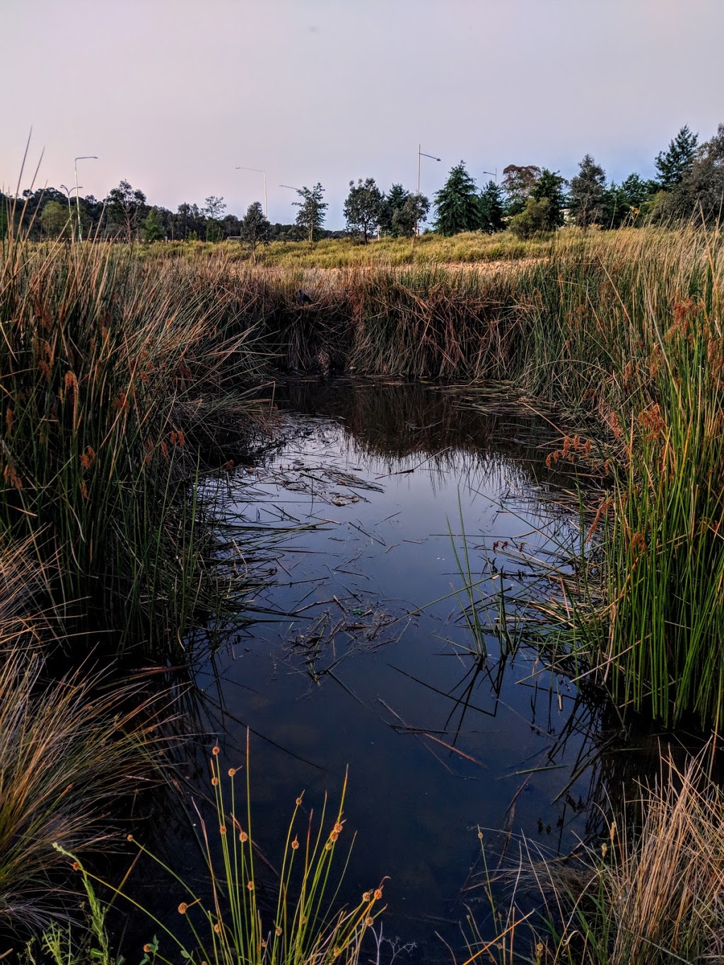 Crace Recreation Park | Narden St, Crace ACT 2911, Australia