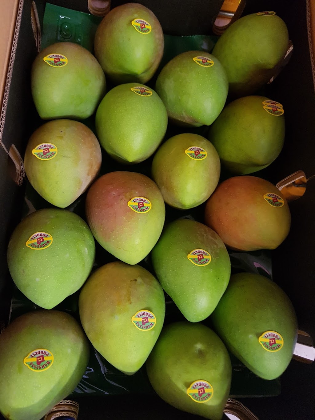 Warnessa Produce Mango Orchid Hydroponic Fresh vegetables | store | 406 Breera Rd, Breera WA 6503, Australia | 0427477011 OR +61 427 477 011